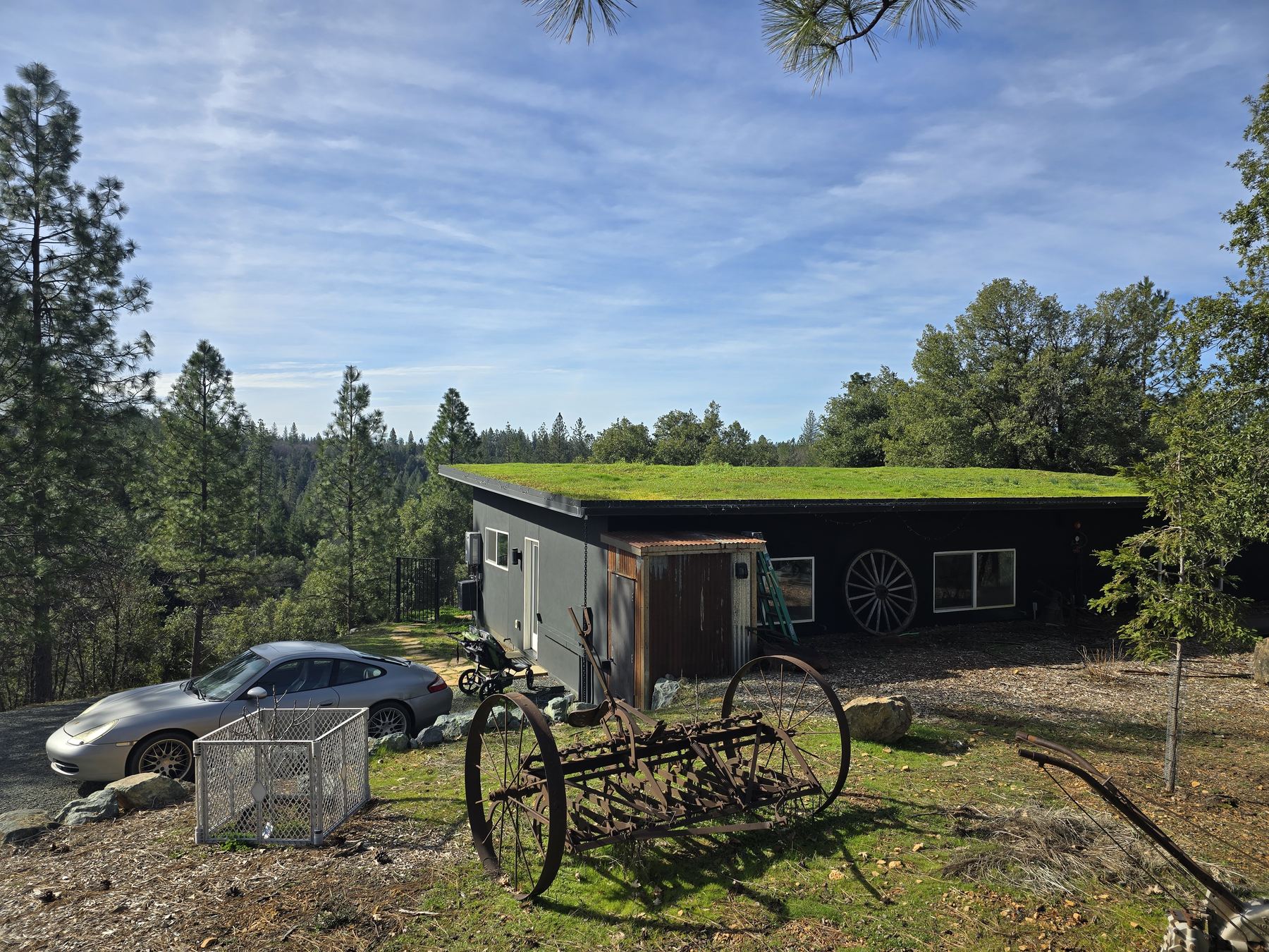 Completed off-grid home with mature green roof in spring bloom