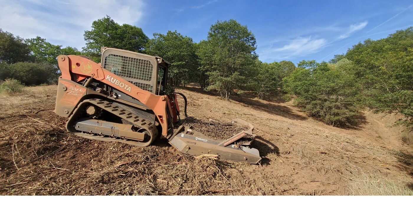 Skid steer rotary disc mulcher clearing brush on a California hillside